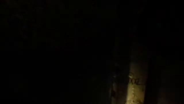 Вин номер и номер двигателя Ford Tourneo Custom смотреть онлайн