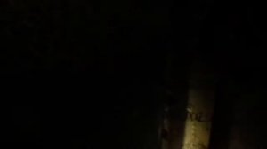 Вин номер и номер двигателя Ford Tourneo Custom