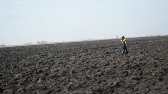 Appel di Fortuna Zorro смотреть онлайн