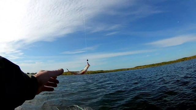 Лучше неудачный день на рыбалке,чем хороший на работе. смотреть онлайн