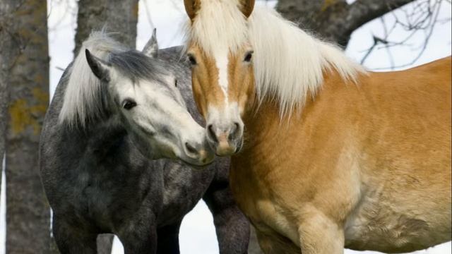 Любовь и счастье Мантра смотреть онлайн