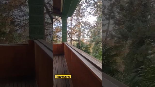 На балконе дачи Сталина #сочи смотреть онлайн