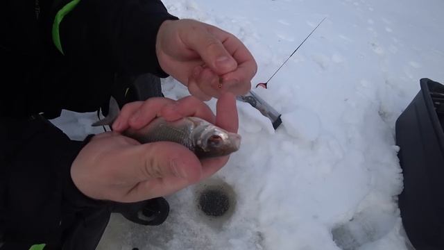 БЕЗМОТЫЛКА. ПОЙМАЛ ЦЕЛЫЙ ШАРАБАН РЫБЫ. смотреть онлайн