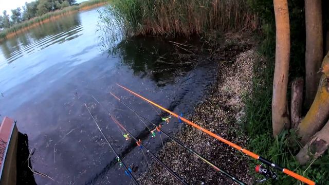 РЕКОРД СОМ на ПОПЛАВОК 4К МЕДВЕДКА на БАНАНЫ смотреть онлайн