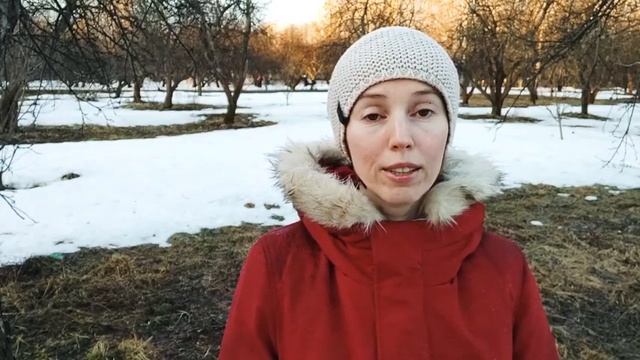 Илона Пушкарёва. Сатсанг «Лучшая версия себя vs Пробуждение» 04.04.2021 смотреть онлайн