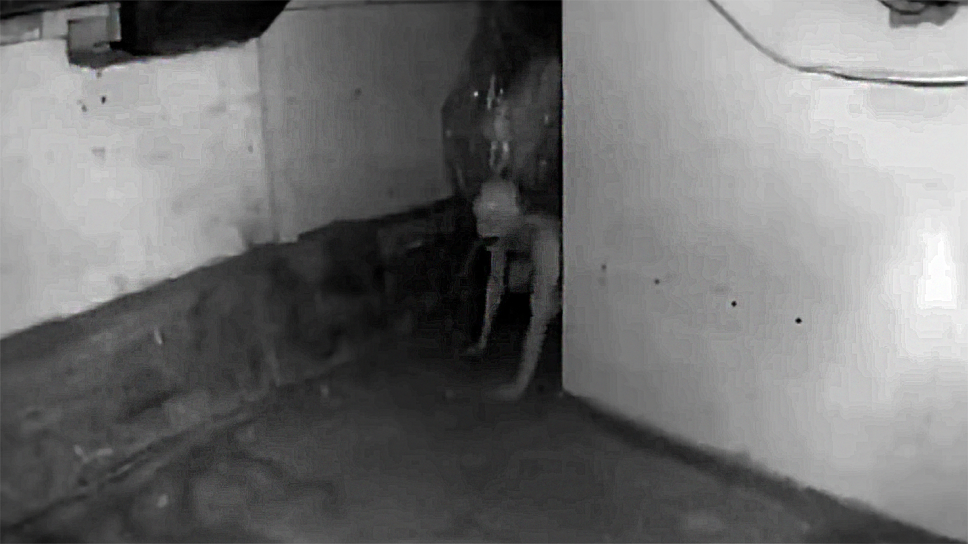 Девушка Сняла ЧЕРТА у Себя В Подвале. 5 Мистических видео. Паранормальное. Необъяснимое. смотреть онлайн