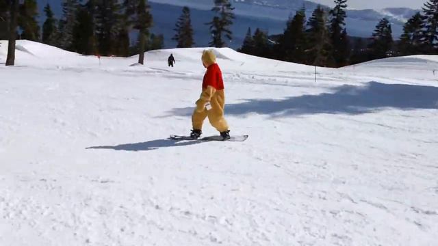 Pooh Shreds Homewood смотреть онлайн