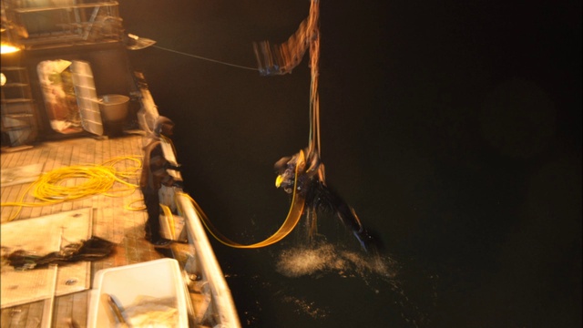 diving for sea cucumbers смотреть онлайн