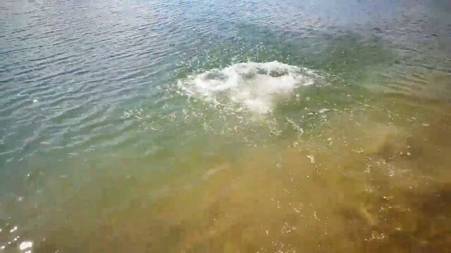 VLOG. Самбисты отдыхают на даче. Самбо дети/Sambicists rest at the cottage.Sambo Kids. смотреть онлайн