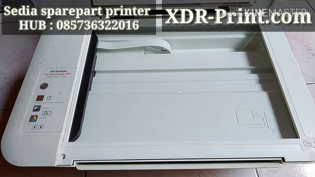 Service Printer HP Deksjet kedip bergantian Cara melepas scanner foto copy смотреть онлайн
