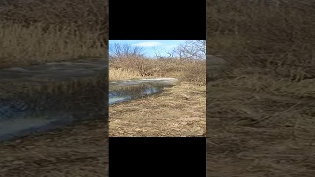 МОТОдолбики