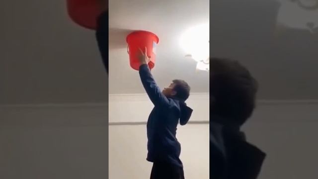 Ловля пауков) смотреть онлайн