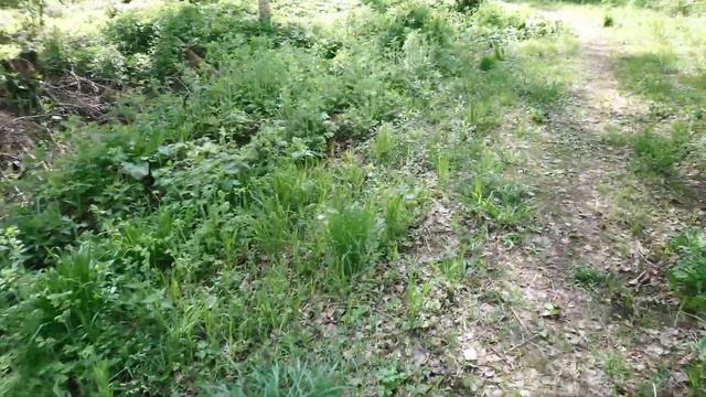 После ремонта парка. Арзамас смотреть онлайн