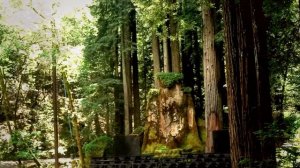 БОГЕМСКАЯ РОЩА | Жертвоприношения, ритуалы и ужасы..