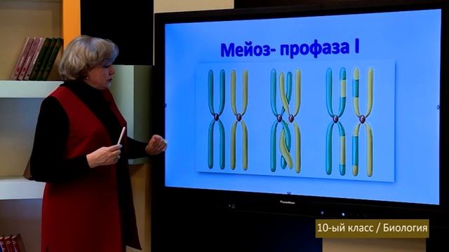 “Dərs vaxtı”: 10-cu sinif dərsləri (rus bölməsi) (11.02.2022) смотреть онлайн