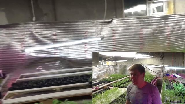Визит в городскую ферму Алматы - Зеленый Горшочек смотреть онлайн
