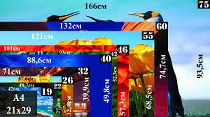 Как узнать диагональ телевизора.