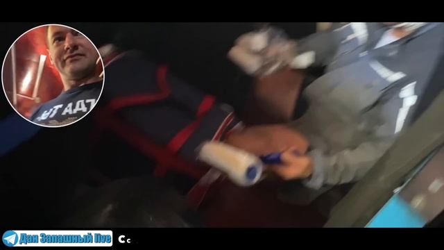 ШИМПАНЗЕ - главный помощник в ремонте | Шимпанзе Боня выбирает валик для покраски смотреть онлайн