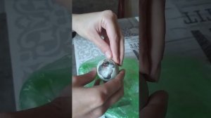 Как правильно помочь цыпленку вылупиться из яйца. Инкубация.