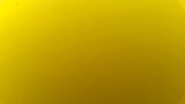 Поиски карася на прудах Покровское-Стрешнева. смотреть онлайн