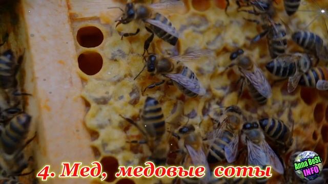7 Вещей, Которые Привлекают в Дом Счастье и Деньги! смотреть онлайн