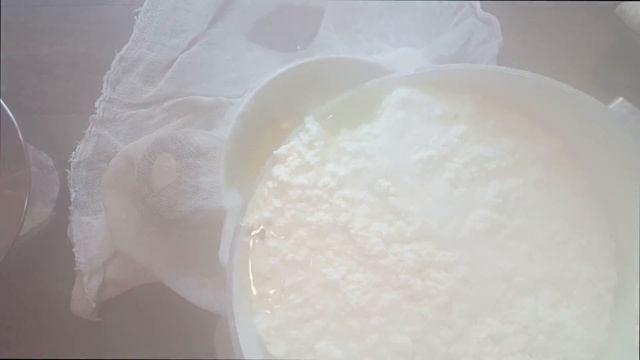 How To Make Feta Cheese At Home? Super Easy & Healthy (Inspired By Iranian Cuisine)