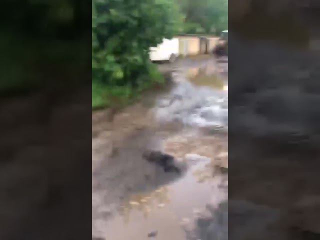 В посёлке санатория имени Герцена уложили асфальт в грязь и лужи во время дождя смотреть онлайн