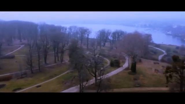 Wildflower | CINEMATIC VLOG | Sony Alpha 6600 смотреть онлайн