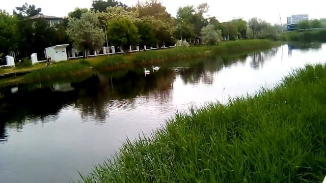 Анапа речка Анапка ранним утром 