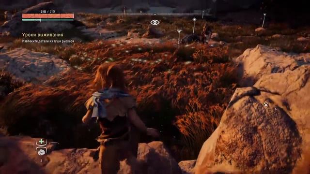 Horizon Zero Dawn™ Complete Edition прохождение часть 1 смотреть онлайн