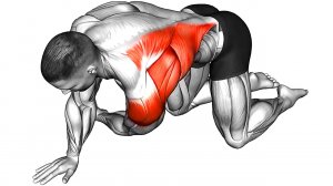 Растяжка всего Тела — супер быстрая программа на каждый день