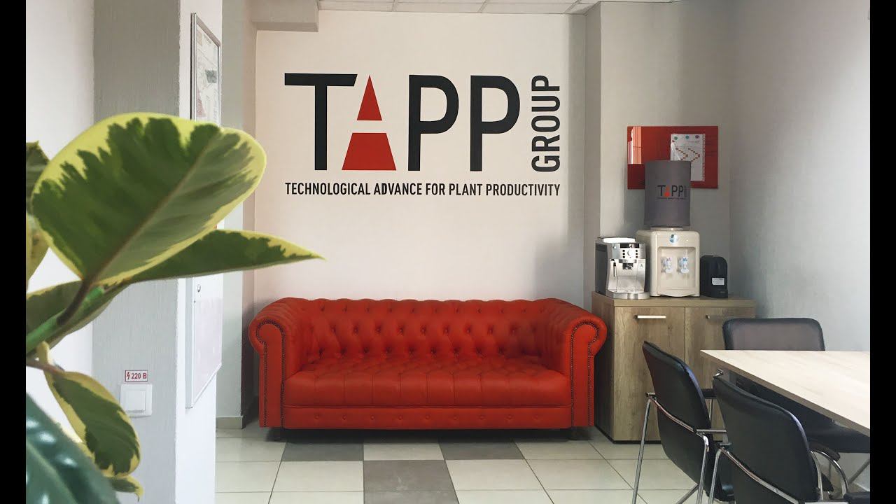 Рабочие будни в компании TAPP Group