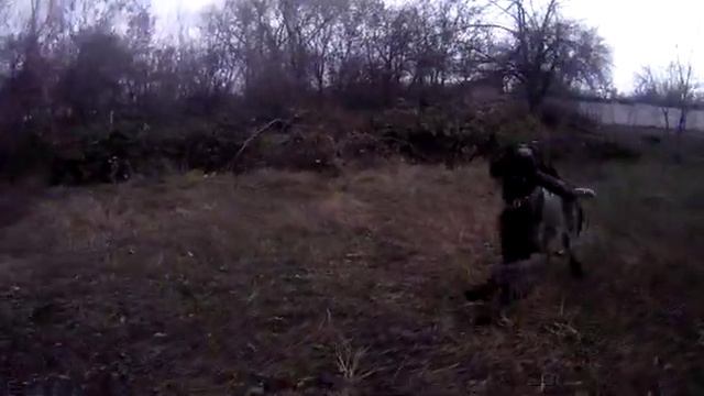 дратхаар Мина ч2 смотреть онлайн