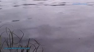 Всё сначала начать