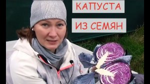 КОГДА СЕЯТЬ КАПУСТУ НА РАССАДУ. КАКУЮ ВКУСНУЮ КАПУСТУ ВЫБРАТЬ И ПОСЕЯТЬ В НОВОМ СЕЗОНЕ.