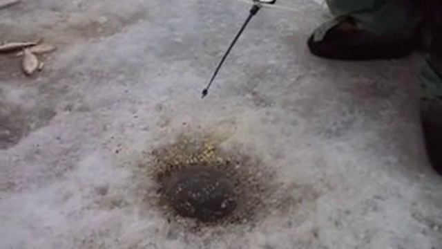 ЗИМНЯЯ РЫБАЛКА!!Клёв просто супер!!! смотреть онлайн