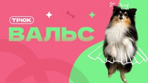 Вальс, служи, танцуй или ходи на задних лапах. Трюк с собакой