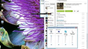 как убрать эхо на компе