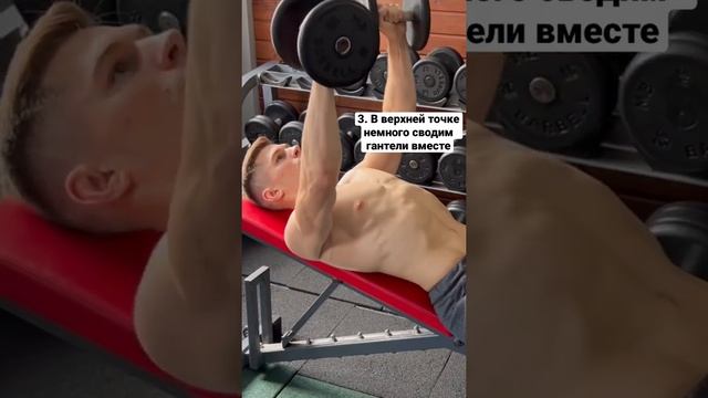 Жим гантелей лёжа на наклонной лавке смотреть онлайн