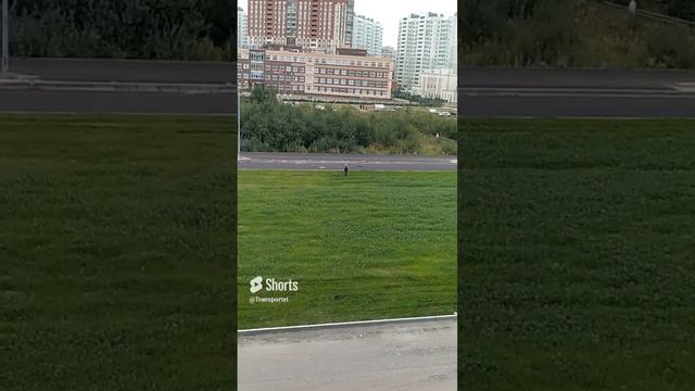 Скос большущего газона #Shorts смотреть онлайн