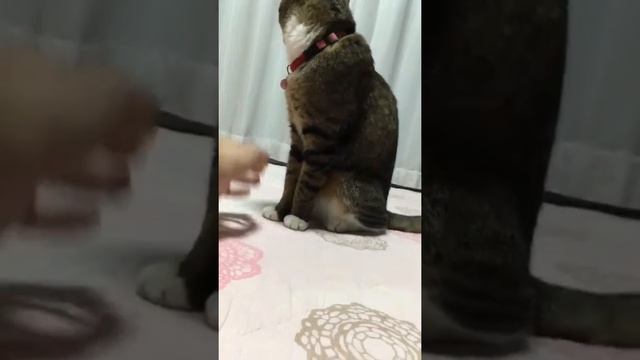 я не терплю фамильярностей смотреть онлайн