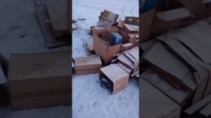 Сколько можно заработать на картоне? Сбор картона