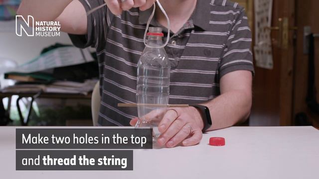 How to make a bird feeder | Natural History Museum смотреть онлайн