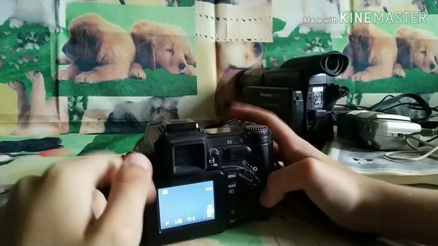 Видео о моей коллекции фотоаппаратов