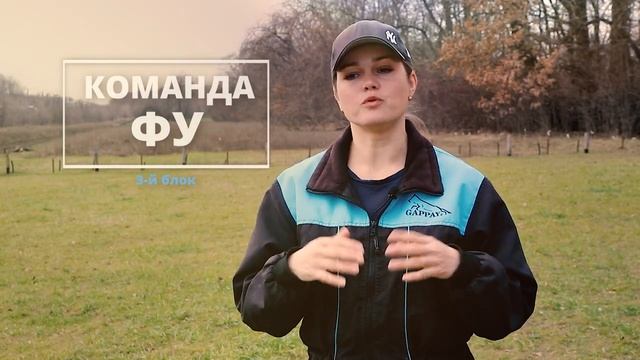 ЭКСПРЕСС - КУРС «Послушание в быту» смотреть онлайн