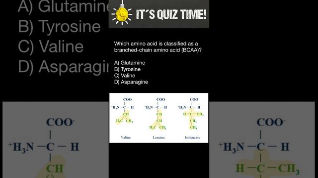 Branched-chain amino acids (BCAAs) смотреть онлайн