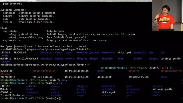 HyperLedger Project: Updates from the Blockchain смотреть онлайн