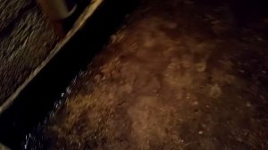 13.08.2017 - 3/4 ГИДРОИЗОЛЯЦИИ ПОЛА ПЕРВОГО ЭТАЖА