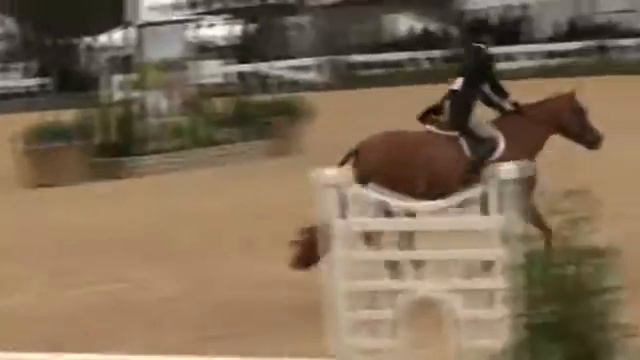 Video of FOR THE BEST ridden by KIRKLEN PETERSEN from ShowNet! смотреть онлайн