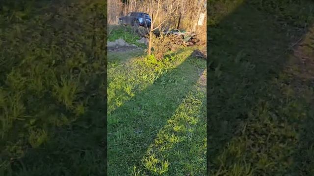 Печь для сжигания мусора смотреть онлайн